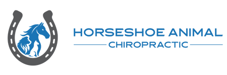 logo horseshoe animal chiropractic